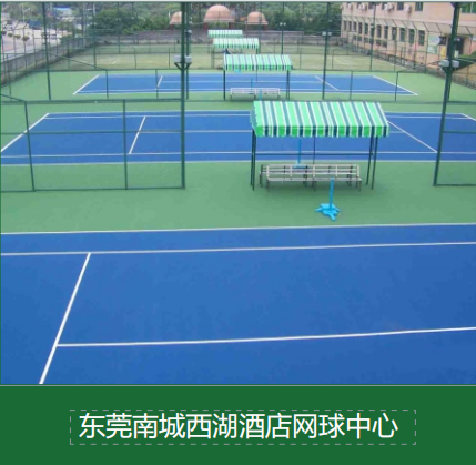 预算与性能平衡：三种主流塑胶跑道的性价比对比与适配技巧